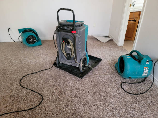 Best Water damage mitigation services  in Coldstream, OH