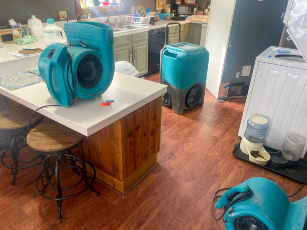 Best Emergency water damage restoration  in Coldstream, OH