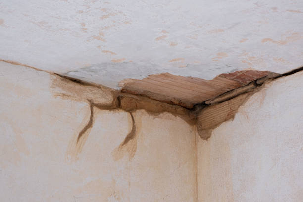 Best Ceiling water damage repair  in Coldstream, OH