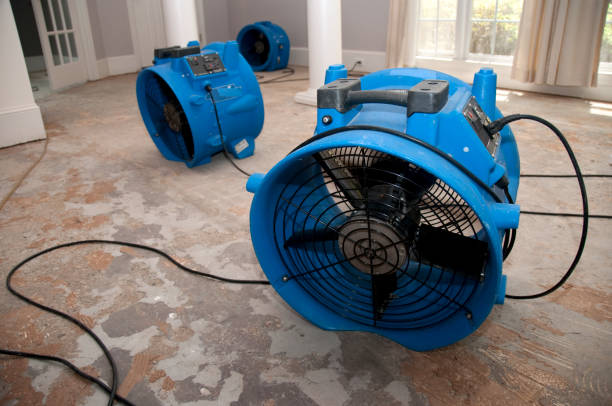 Best Residential water damage restoration  in Coldstream, OH