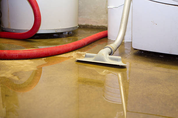 Best Residential water damage restoration  in Coldstream, OH