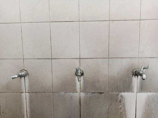 Best Water damage restoration near me  in Coldstream, OH