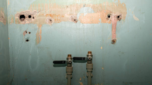 Best Water damage restoration near me  in Coldstream, OH