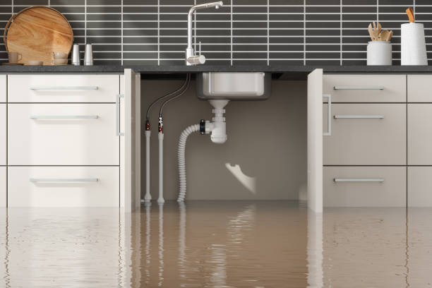 Best Flood restoration services  in Coldstream, OH