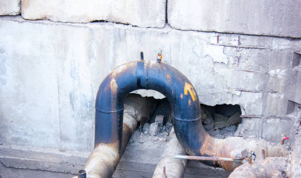 Best Flood damage cleanup  in Coldstream, OH
