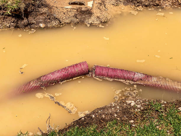 Water damage restoration experts in Coldstream, OH