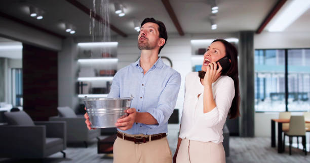 Best Local water damage restoration  in Coldstream, OH